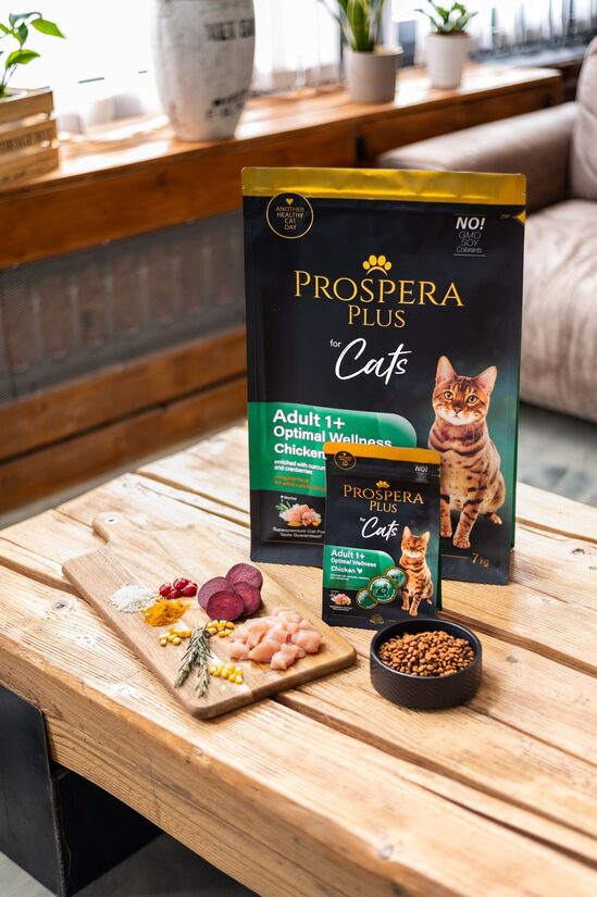 PROSPERA PLUS