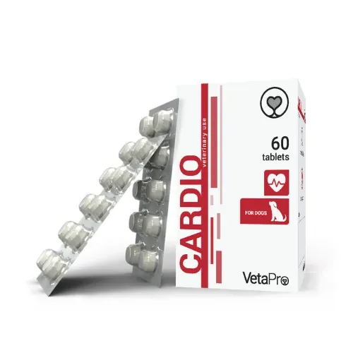 CARDIO DOG N60