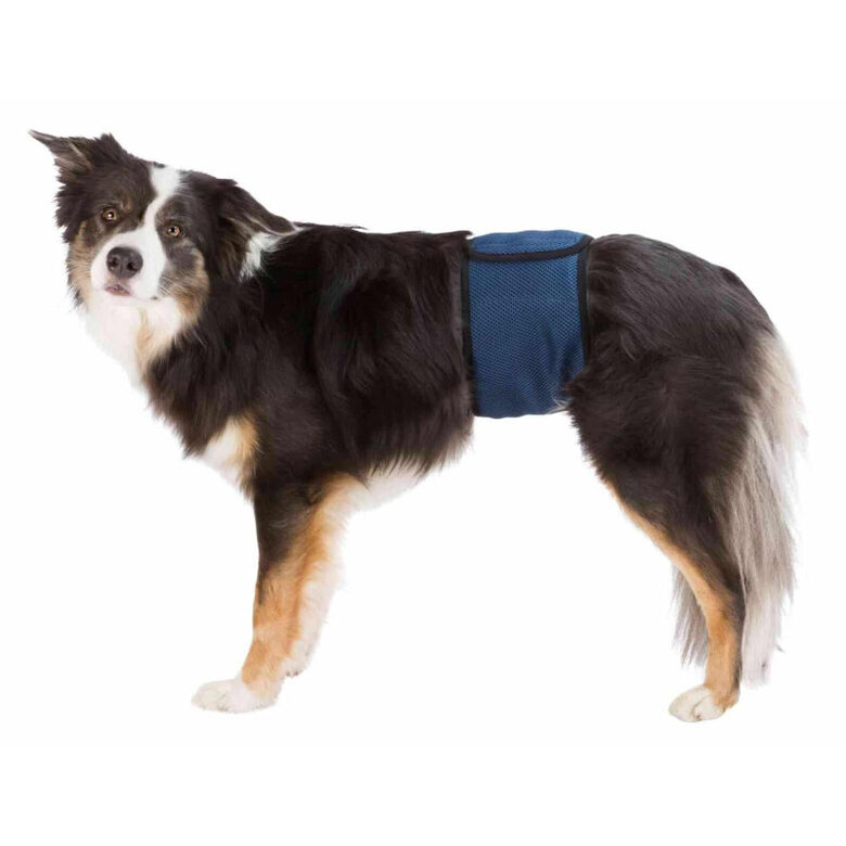 Trixie Diapers for male dogs, mesh material, M: 45–55 cm - autiņbiksītes suņiem