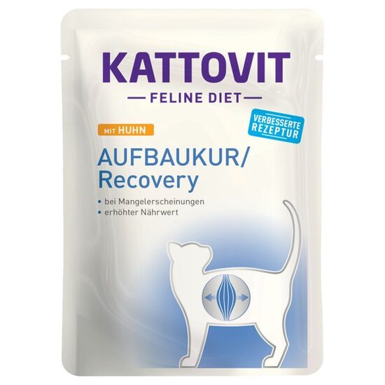 Kattovit Aufbaukur/Recovery 85g (ar vistu) 
