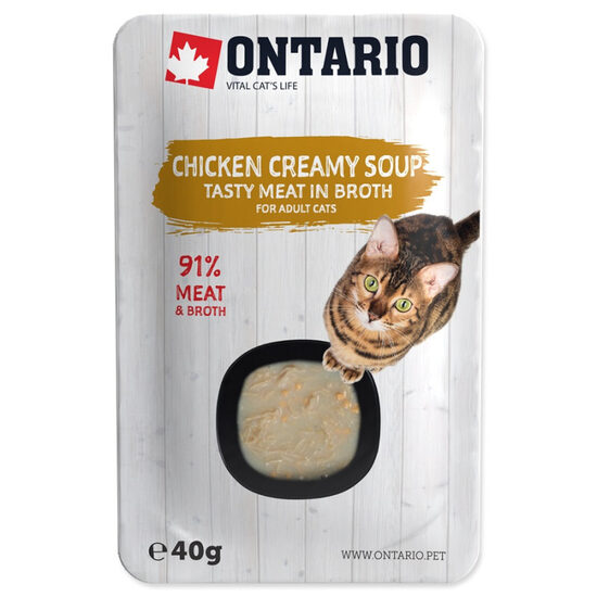 Ontario Soup Adult Chicken and Cheese with Rice, 40g