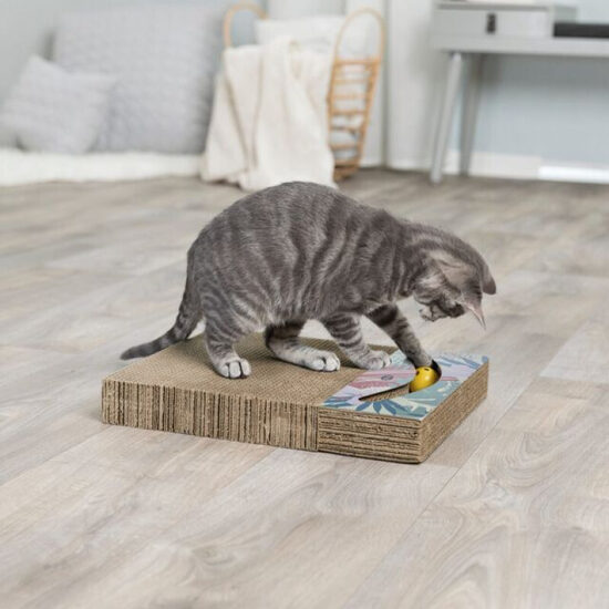 Trixie Scratching cardboard with toys, 38 x 5 x 30 cm