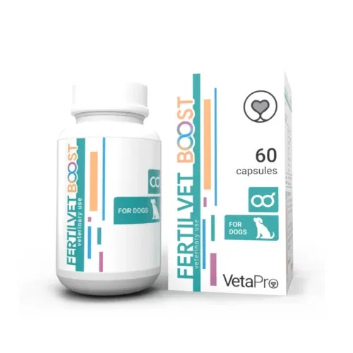 FERTILVET BOOST DOG N60 - papildbarība spermatozoīdu skaitu palielināšanai suņu tēviņiem