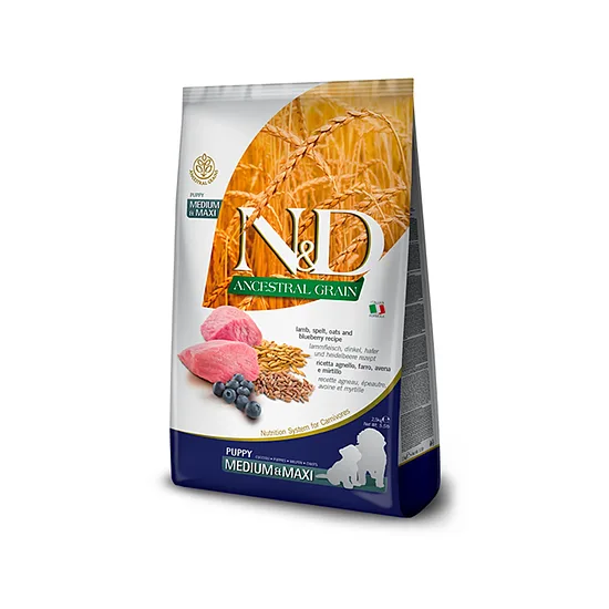 N&D DOG ANCESTRAL GRAIN LAMB BLUEBERRY PUPPY MEDIUM MAXI 12kg