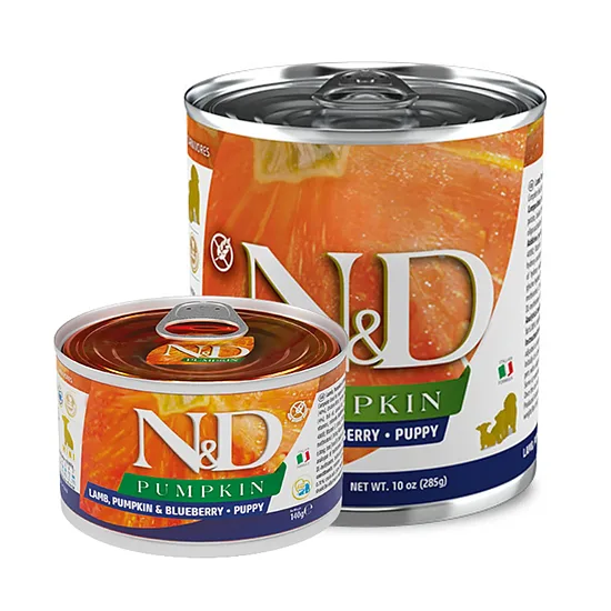 N&D DOG PUMPKIN LAMB BLUEBERRY PUPPY 285G - mitrā barība kucēniem un grūsnām vai laktējošām kucēm