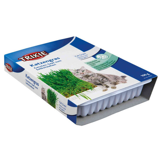 Trixie Cat Grass (bowl), 100 g - zāle kaķiem