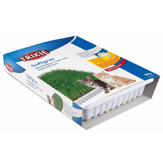 Trixie Bio Cat Grass (bowl), 100 g - zāle kaķēniem
